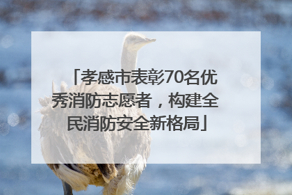 孝感市表彰70名优秀消防志愿者，构建全民消防安全新格局