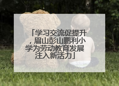 学习交流促提升，眉山彭山鹏利小学为劳动教育发展注入新活力