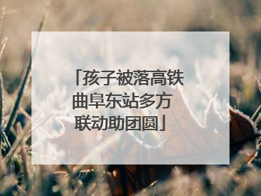 孩子被落高铁 曲阜东站多方联动助团圆