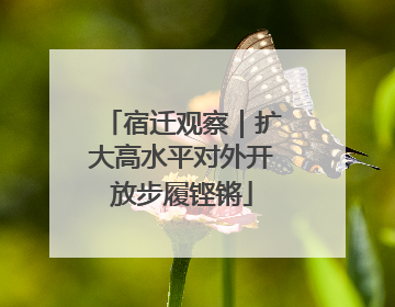 宿迁观察｜扩大高水平对外开放步履铿锵