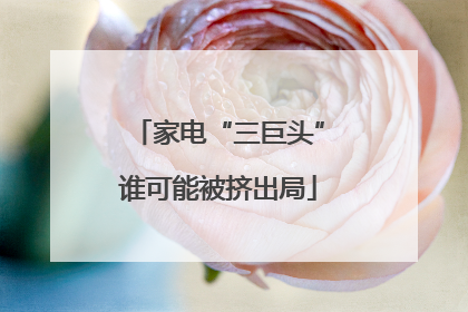 家电“三巨头”谁可能被挤出局