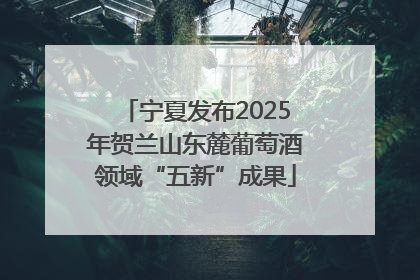 宁夏发布2025年贺兰山东麓葡萄酒领域“五新”成果