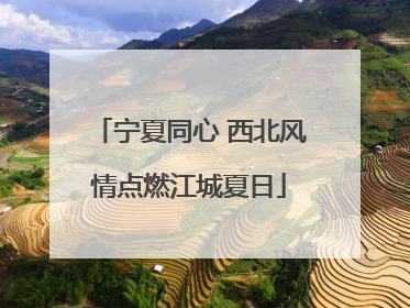 宁夏同心 西北风情点燃江城夏日