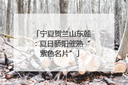宁夏贺兰山东麓：夏日骄阳催熟“紫色名片”