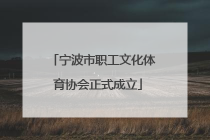 宁波市职工文化体育协会正式成立