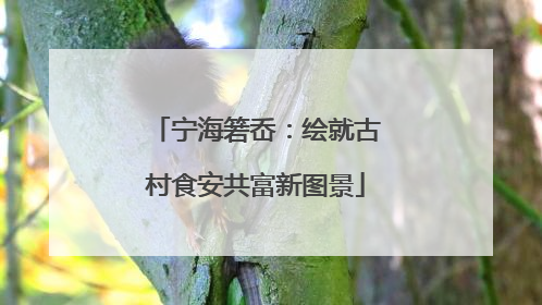 宁海箬岙：绘就古村食安共富新图景