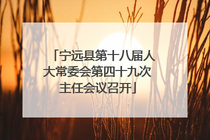 宁远县第十八届人大常委会第四十九次主任会议召开
