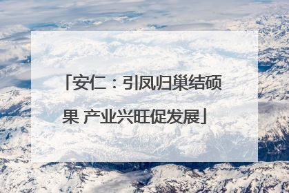 安仁：引凤归巢结硕果 产业兴旺促发展