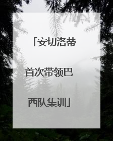 安切洛蒂首次带领巴西队集训