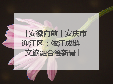 安徽向前丨安庆市迎江区：依江成链 文旅融合绘新景