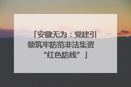 安徽无为：党建引领筑牢防范非法集资“红色防线”