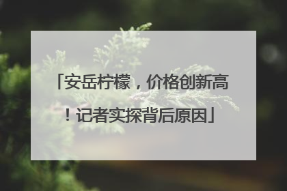 安岳柠檬，价格创新高！记者实探背后原因