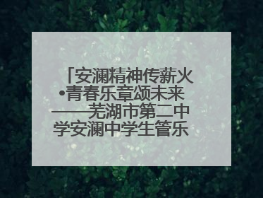 安澜精神传薪火•青春乐章颂未来——芜湖市第二中学安澜中学生管乐团第十二届公益展演圆满举行