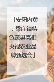 安阳内黄：梁庄镇特色蔬果亮相央视农业品牌甄选会