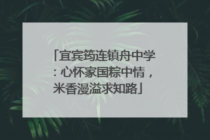 宜宾筠连镇舟中学：心怀家国粽中情，米香漫溢求知路