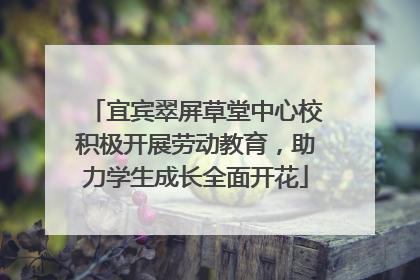 宜宾翠屏草堂中心校积极开展劳动教育，助力学生成长全面开花