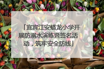 宜宾江安蟠龙小学开展防溺水演练暨签名活动，筑牢安全防线