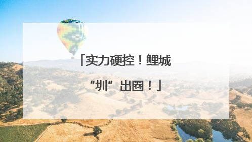 实力硬控！鲤城“圳”出圈！