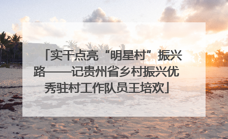 实干点亮“明星村”振兴路——记贵州省乡村振兴优秀驻村工作队员王培欢