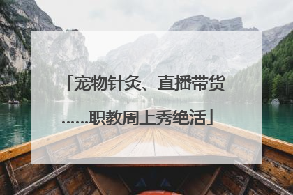 宠物针灸、直播带货……职教周上秀绝活