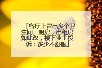 客厅上冒出多个卫生间、厨房，出租房如此改，楼下业主投诉：多少不舒服