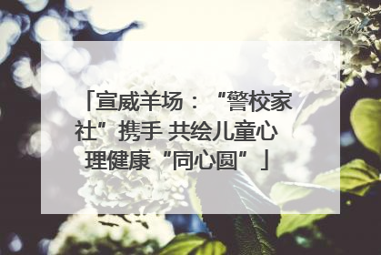 宣威羊场：“警校家社”携手 共绘儿童心理健康“同心圆”