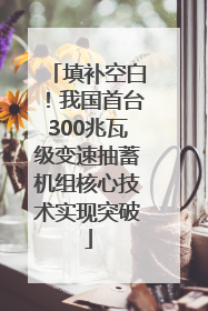 填补空白！我国首台300兆瓦级变速抽蓄机组核心技术实现突破