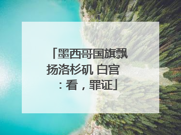 墨西哥国旗飘扬洛杉矶 白宫：看，罪证