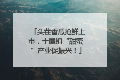 头茬香瓜抢鲜上市，十屋镇“甜蜜”产业促振兴！