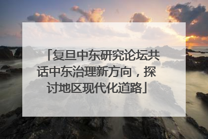 复旦中东研究论坛共话中东治理新方向，探讨地区现代化道路