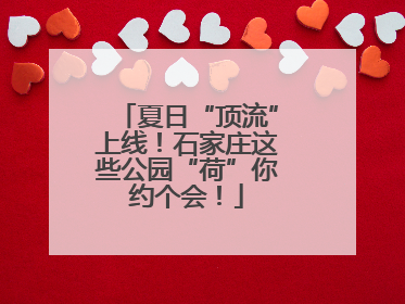 夏日“顶流”上线！石家庄这些公园“荷”你约个会！