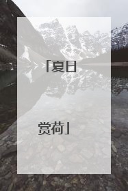 夏日赏荷