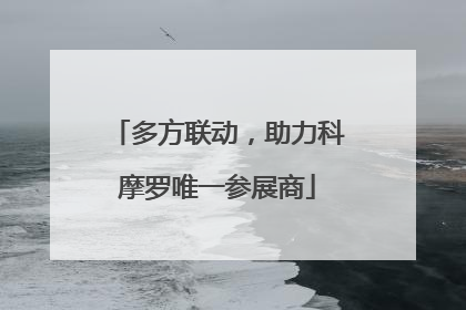 多方联动，助力科摩罗唯一参展商