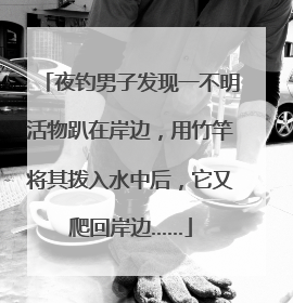 夜钓男子发现一不明活物趴在岸边，用竹竿将其拨入水中后，它又爬回岸边……