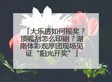 大乐透如何摇奖？顶呱刮怎么印刷？湖南体彩观摩团现场见证“阳光开奖”