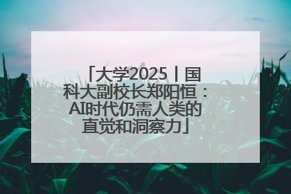 大学2025丨国科大副校长郑阳恒：AI时代仍需人类的直觉和洞察力