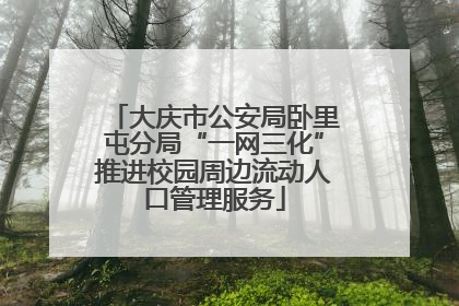 大庆市公安局卧里屯分局“一网三化”推进校园周边流动人口管理服务