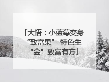 大悟：小蓝莓变身“致富果” 特色生“金”致富有方