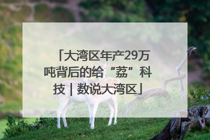 大湾区年产29万吨背后的给“荔”科技｜数说大湾区