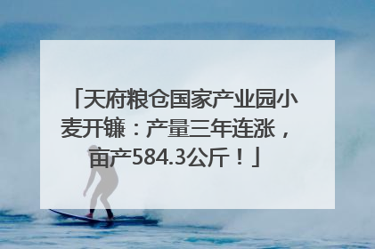 天府粮仓国家产业园小麦开镰：产量三年连涨，亩产584.3公斤！