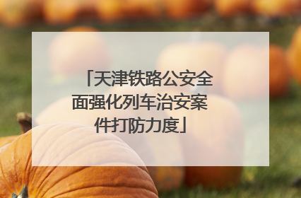 天津铁路公安全面强化列车治安案件打防力度
