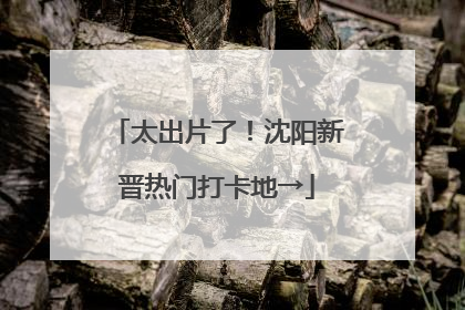 太出片了！沈阳新晋热门打卡地→