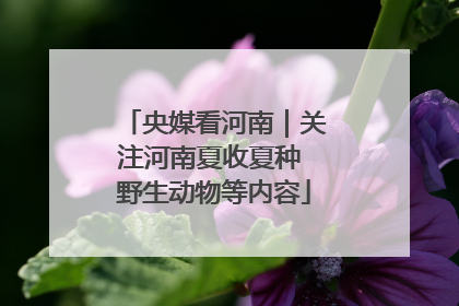 央媒看河南｜关注河南夏收夏种 野生动物等内容