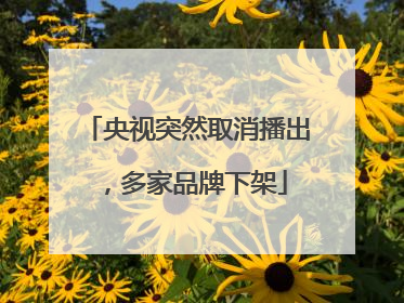 央视突然取消播出，多家品牌下架