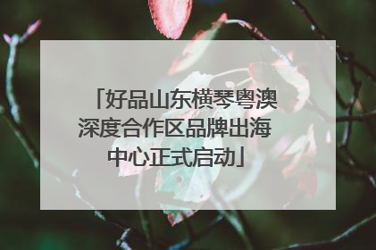 好品山东横琴粤澳深度合作区品牌出海中心正式启动