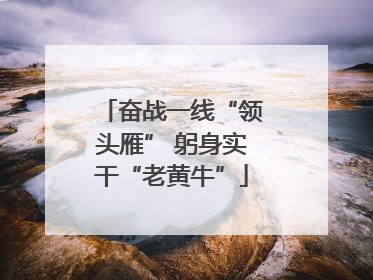 奋战一线“领头雁” 躬身实干“老黄牛”