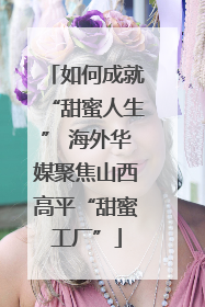 如何成就“甜蜜人生” 海外华媒聚焦山西高平“甜蜜工厂”