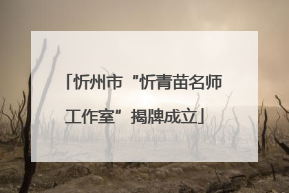 忻州市“忻青苗名师工作室”揭牌成立