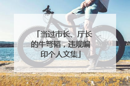 当过市长、厅长的牛弩韬，违规编印个人文集