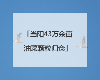 当阳43万余亩油菜颗粒归仓